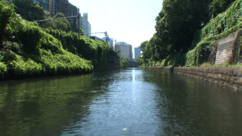 写真：3D紀行Ⅸ　東京水上散歩