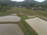農村景観を3Dで科学する　～農村工学研究所