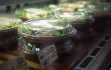 Natural Food in Hawaii