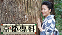 羽田美智子の京都専科