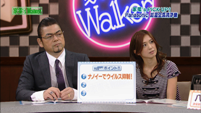 家電's Walker