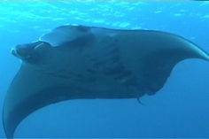 asobi12_02.jpg
