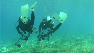 3D紀行XIV セブ島 FISH TANK