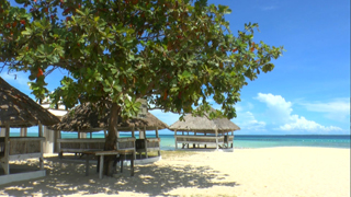 3D紀行XIV セブ島 FISH TANK