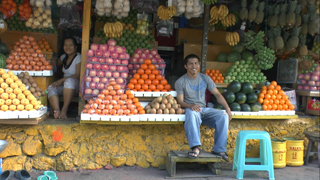 3D紀行XIV セブ島 FISH TANK