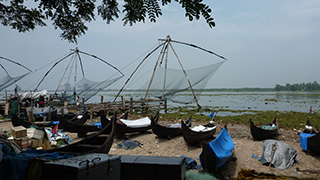 南インド ケララ州～スパイスとアーユルヴェーダの故郷を行く～