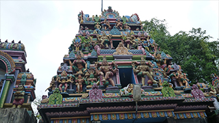 南インド ケララ州～スパイスとアーユルヴェーダの故郷を行く～