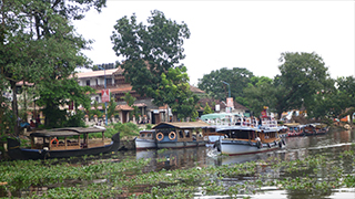 南インド ケララ州～スパイスとアーユルヴェーダの故郷を行く～