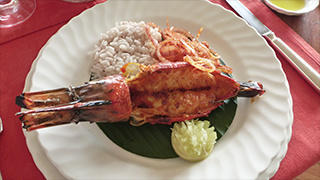 南インド ケララ州～スパイスとアーユルヴェーダの故郷を行く～