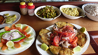 南インド ケララ州～スパイスとアーユルヴェーダの故郷を行く～