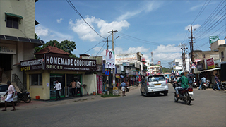 南インド ケララ州～スパイスとアーユルヴェーダの故郷を行く～