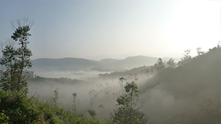 南インド ケララ州～スパイスとアーユルヴェーダの故郷を行く～