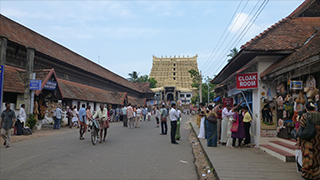 南インド ケララ州～スパイスとアーユルヴェーダの故郷を行く～