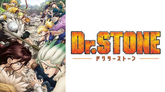 Ｄｒ．ＳＴＯＮＥ<br>（ドクターストーン2期）