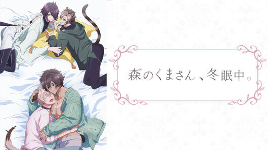 森のくまさん、冬眠中。