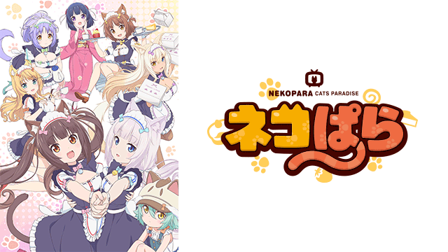 ネコぱら ｜ BS11（イレブン）|全番組が無料放送