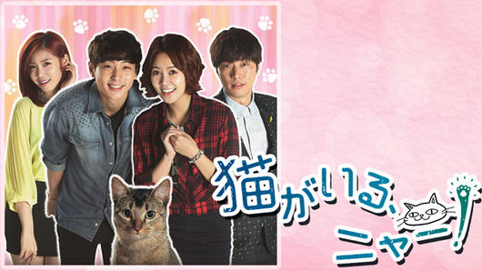 猫がいる、ニャー！