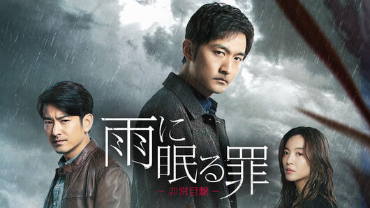 雨に眠る罪－非常目撃－