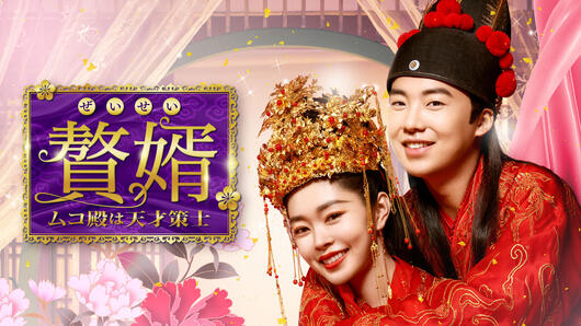 贅婿［ぜいせい］～ムコ殿は天才策士～