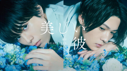 美しい彼