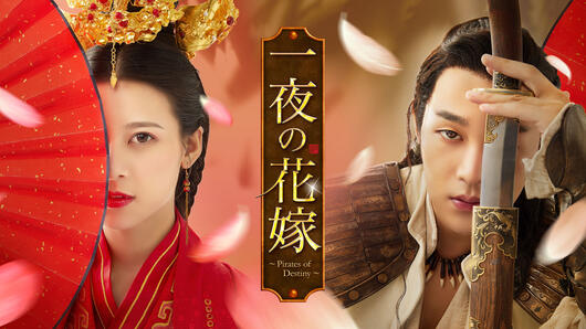 一夜の花嫁～Pirates of Destiny～