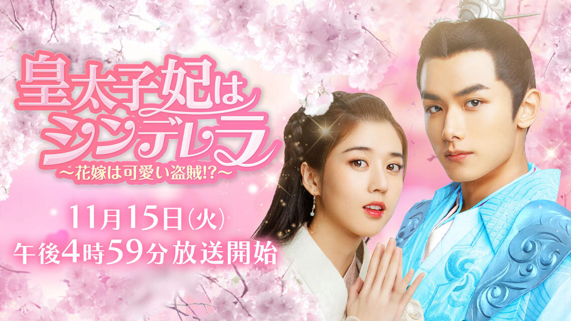 ドラマ 番組一覧 Bs11 イレブン 全番組が無料放送