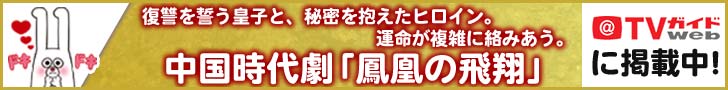 TVガイドWEB「大宋宮詞」