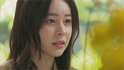 あなたは贈り物