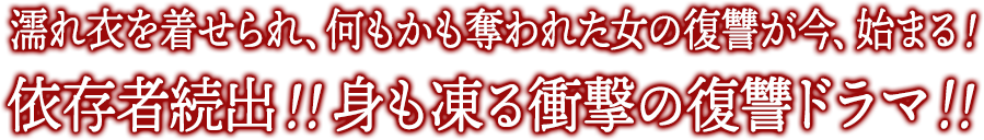 濡れ衣を着せられ、何もかも奪われた女の復讐が今、始まる！依存者続出！！身も凍る衝撃の復讐ドラマ！！