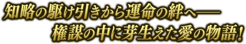 知略の駆け引きから運命の絆へ――権謀の中に芽生えた愛の物語！