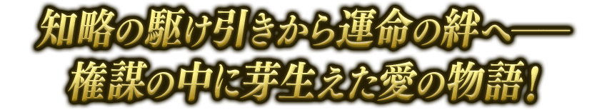 知略の駆け引きから運命の絆へ――権謀の中に芽生えた愛の物語！