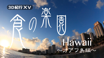 3D紀行XV 食の楽園Hawaii～オアフ島編～
