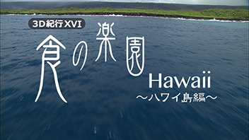 3D紀行XVI 食の楽園Hawaii～ハワイ島編～