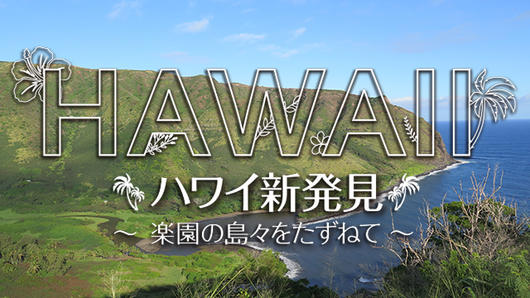ハワイ新発見～楽園の島々をたずねて～