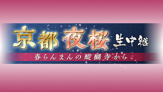 京都 夜桜 生中継  春らんまんの醍醐寺から