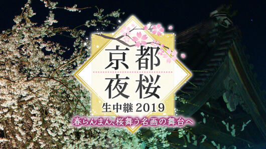 京都夜桜生中継 2019