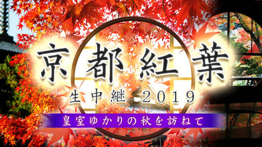 京都紅葉生中継2019<br>～皇室ゆかりの秋を訪ねて～