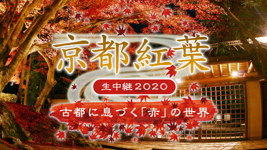京都紅葉生中継2020<br>～古都に息づく「赤」の世界～