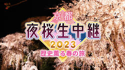 京都夜桜生中継2023～歴史薫る春の旅～
