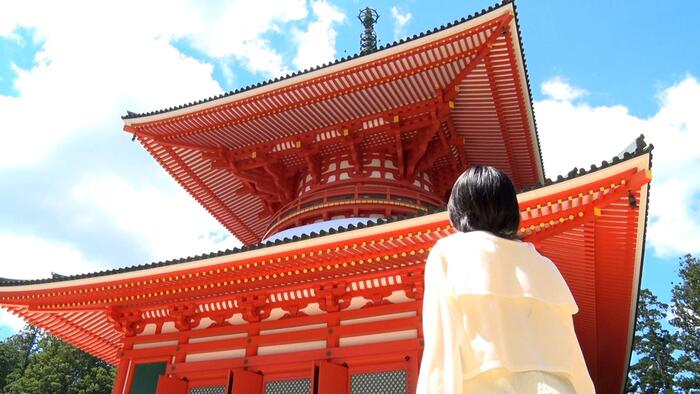 おいでよ和歌山 <br>旬のフルーツ満喫＆高野山をめぐる旅