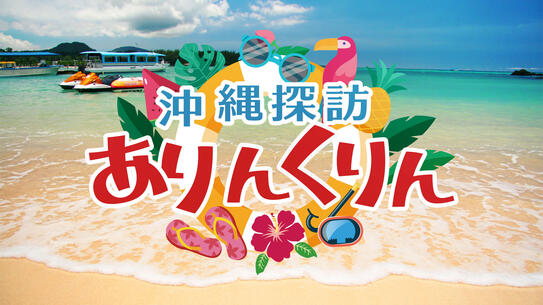 沖縄探訪ありんくりん