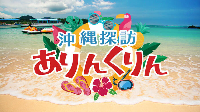 沖縄探訪ありんくりん