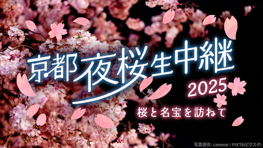 京都夜桜生中継2025～桜と名宝を訪ねて～