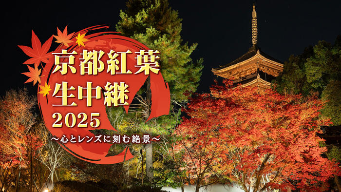 京都紅葉生中継2025 <br>心とレンズに刻む絶景