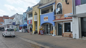 メキシコ ユカタン半島紀行　バショウカジキとマヤ文化・遺跡探訪の旅