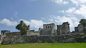 メキシコ ユカタン半島紀行　バショウカジキとマヤ文化・遺跡探訪の旅