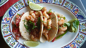 メキシコ ユカタン半島紀行　バショウカジキとマヤ文化・遺跡探訪の旅