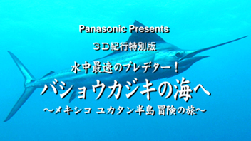 3D紀行特別版水中最速のプレデター！バショウカジキの海へ～メキシコ ユカタン半島・冒険の旅～