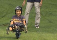 ふじてんリゾート