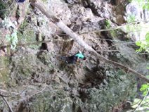 ＃２７　有笠山